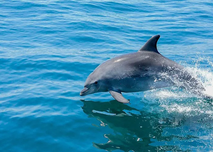 Cozy Townhouse Rafaella2 Near Sao Rafael 度假居