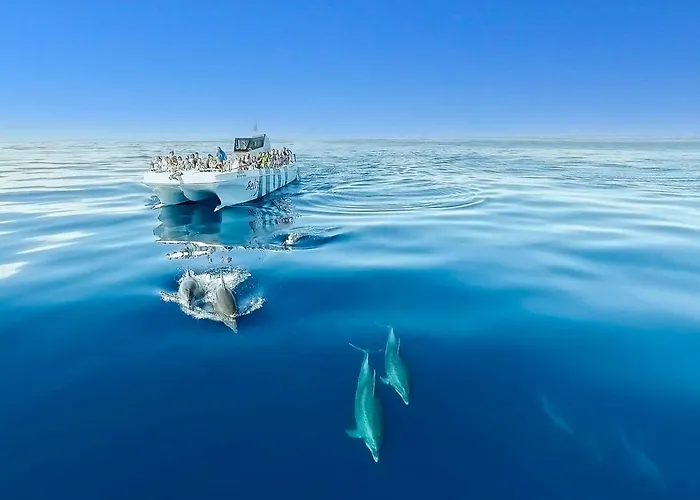 Cozy Townhouse Rafaella2 Near Sao Rafael 度假居 阿尔布费拉